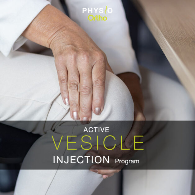 Active Vesicle Injection Program