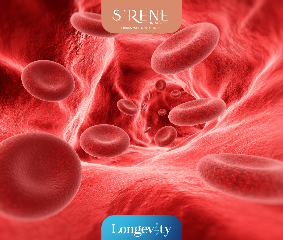 Heavy Metal Check Up Program