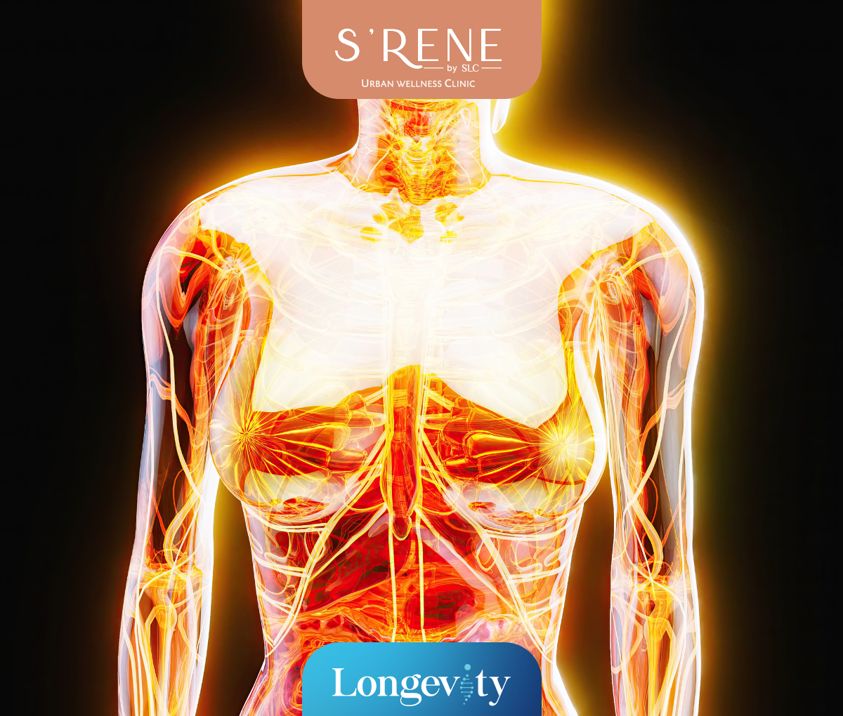 Inflammation Check Up Program