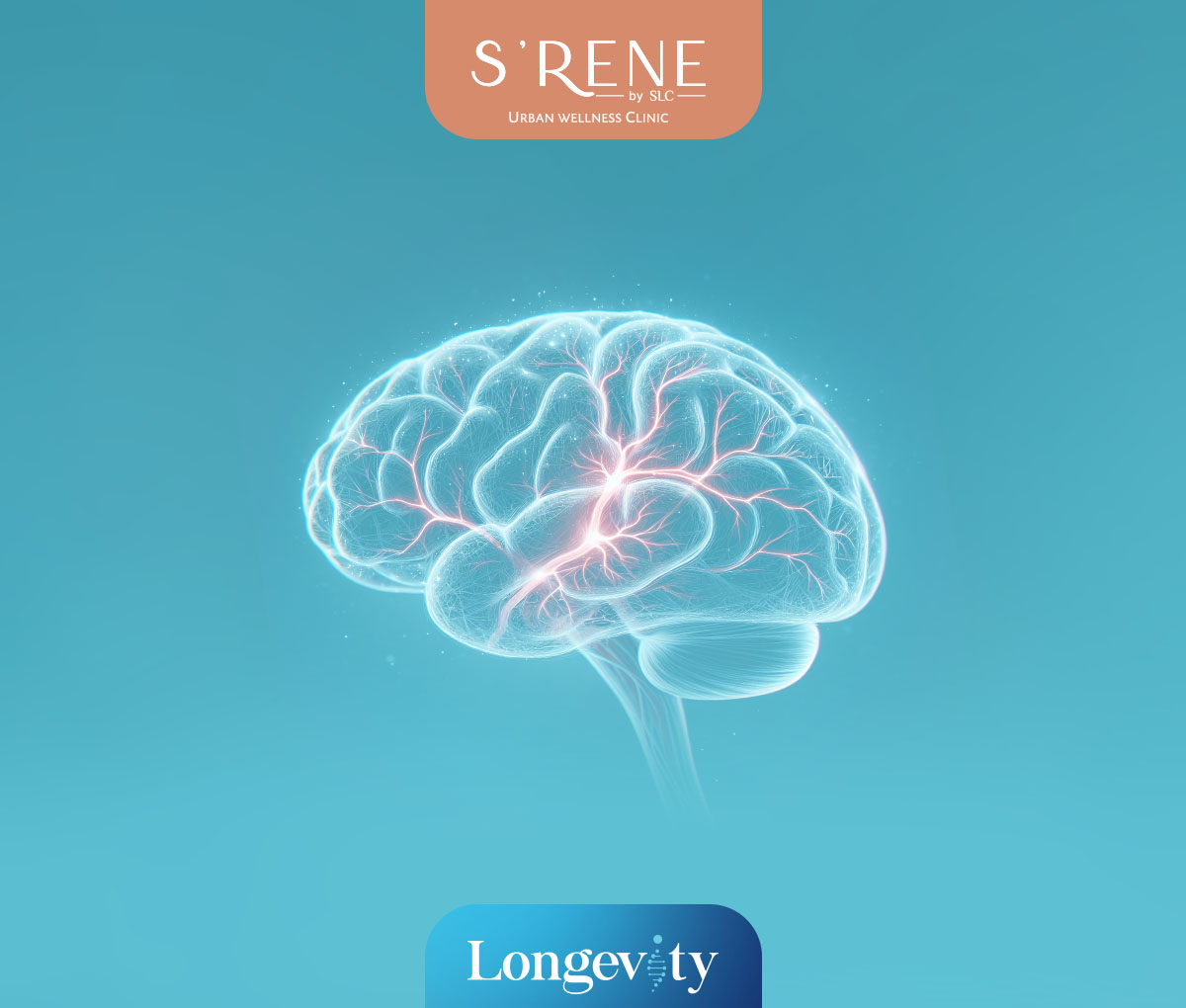 โปรแกรม ตรวจ ABI รู้สุขภาพและอายุหลอดเลือดแดงได้ ภายใน 5 นาที