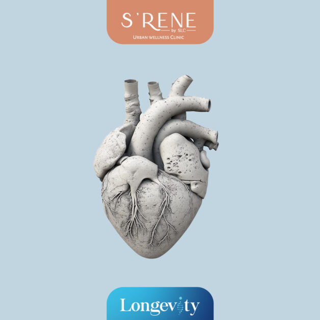 CT CALCIUM SCORE PROGRAM