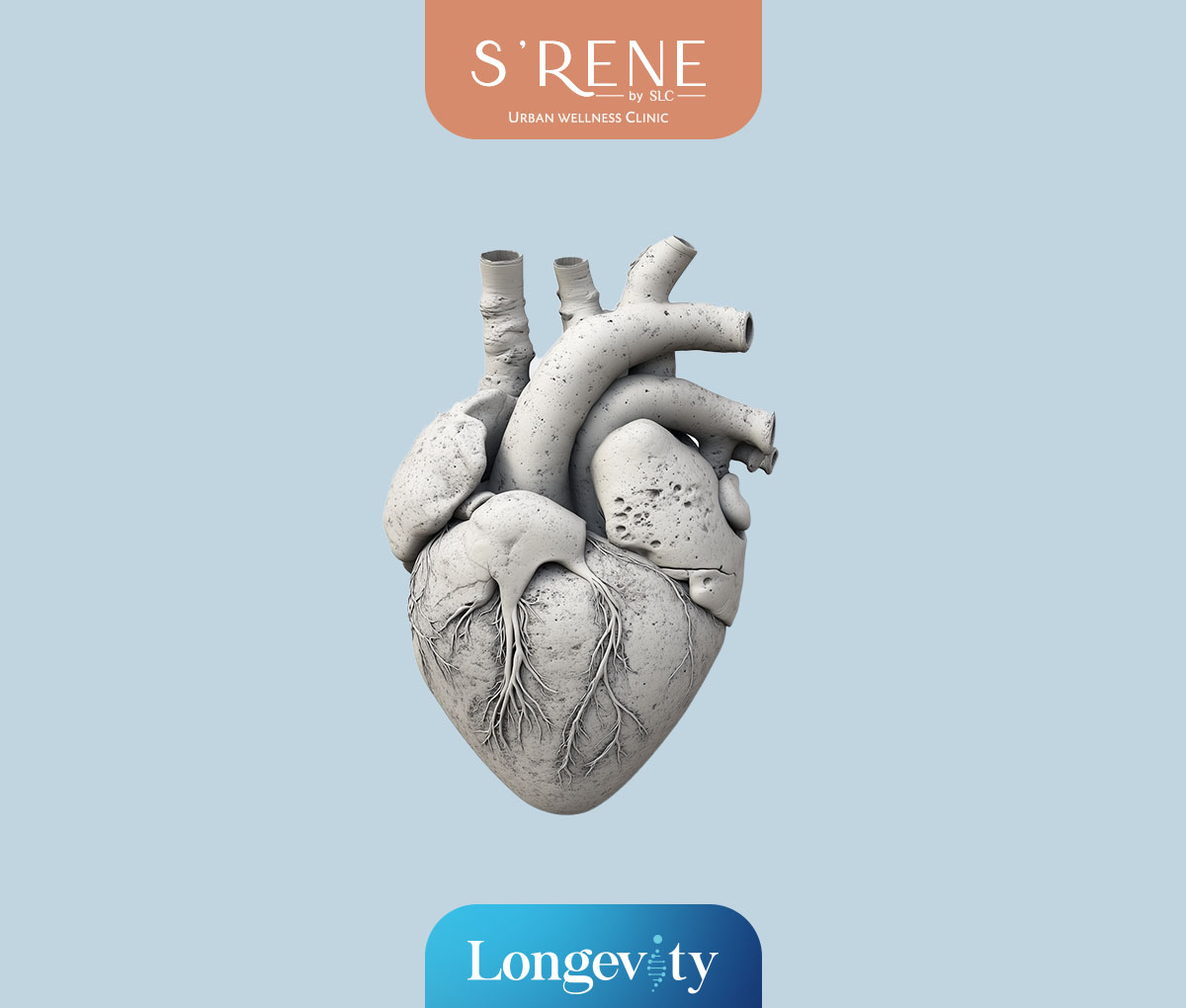CT CALCIUM SCORE PROGRAM