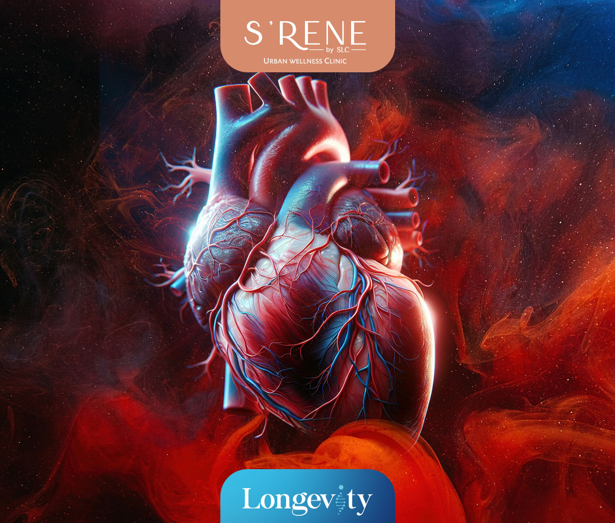 Cardiovascular Risk Check Up Program