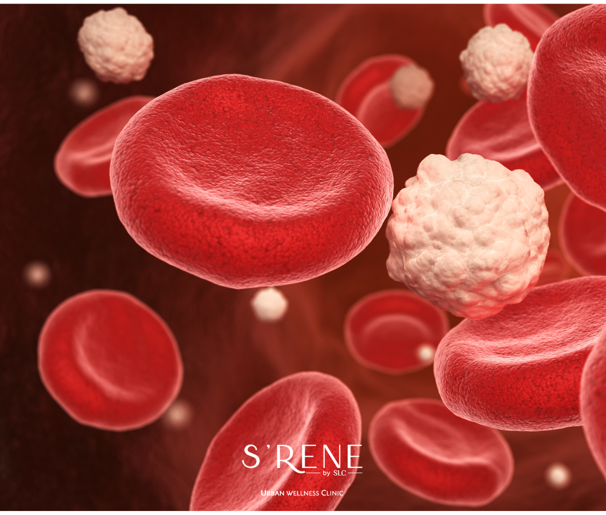 ระบบภูมิคุ้มกัน (Immune System) คือ