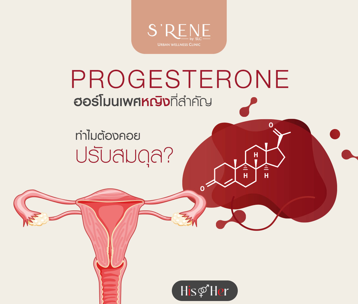 progesterone คือ