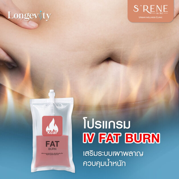 IV Fat Burn Program