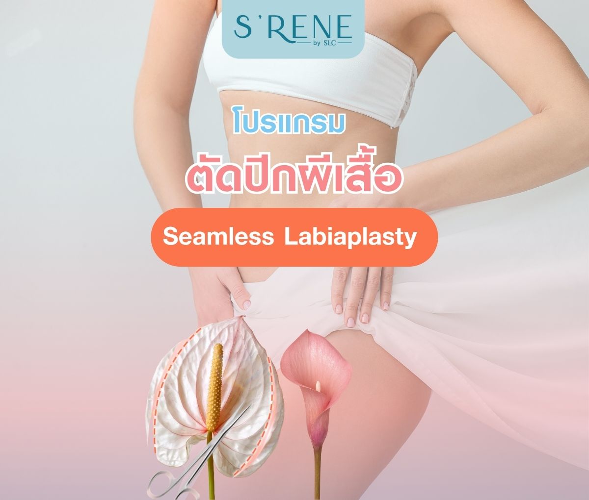โปรแกรม ตัดปีกผีเสื้อ (Seamless Labiaplasty Program)